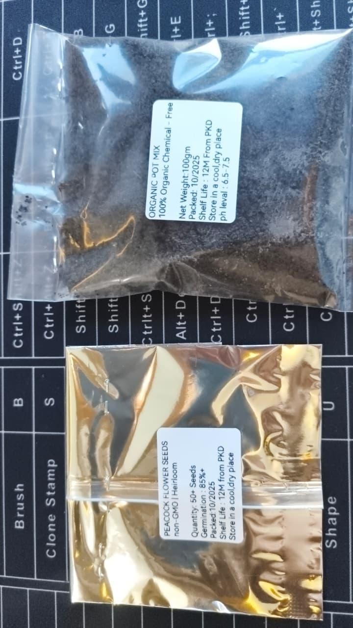 Vibrant Peacock Flower Seeds